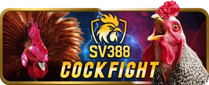 Sự kiện khuyến mãi ibet889 win